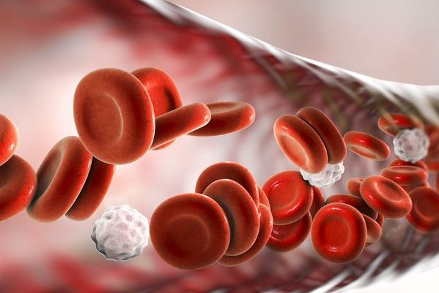 Mutation stands in the way of healthy blood cell maturation